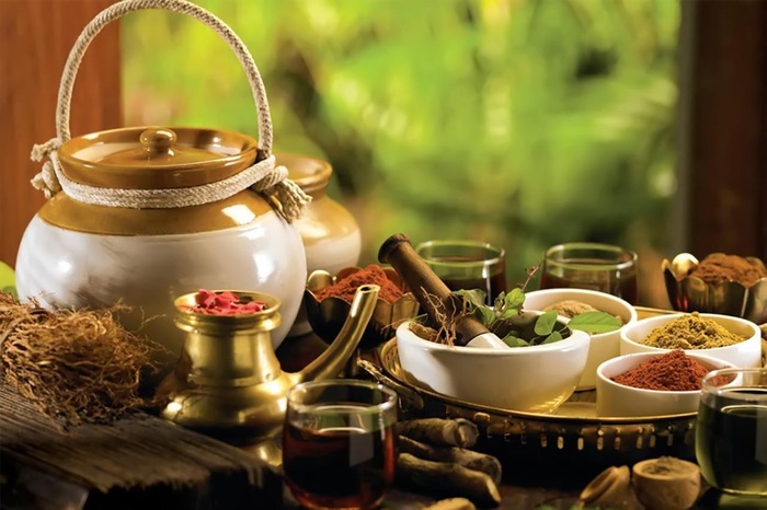 Các loại thảo dược và dược liệu Y học cổ truyền được chuẩn bị cho bào chế đông dược