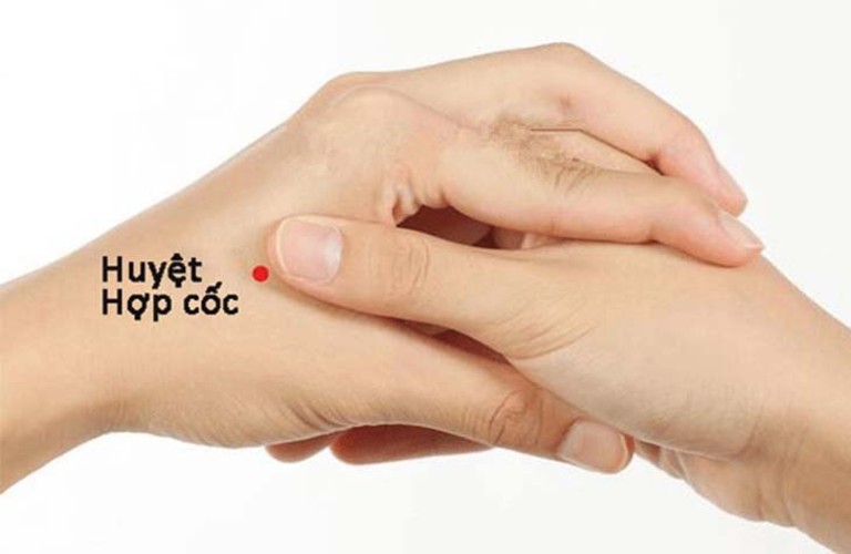 Hình ảnh chương 1