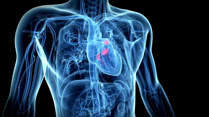 Hình ảnh chương 1