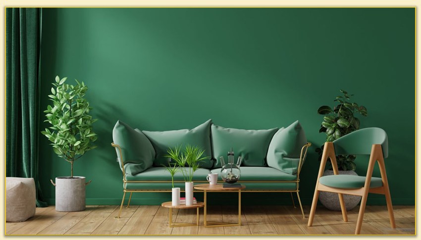 Hình ảnh minh họa dược liệu