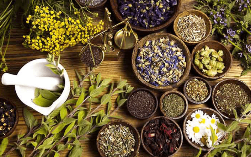 Hình ảnh chương 1