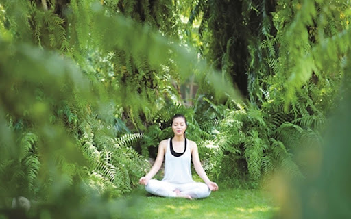 Hình ảnh chương 3