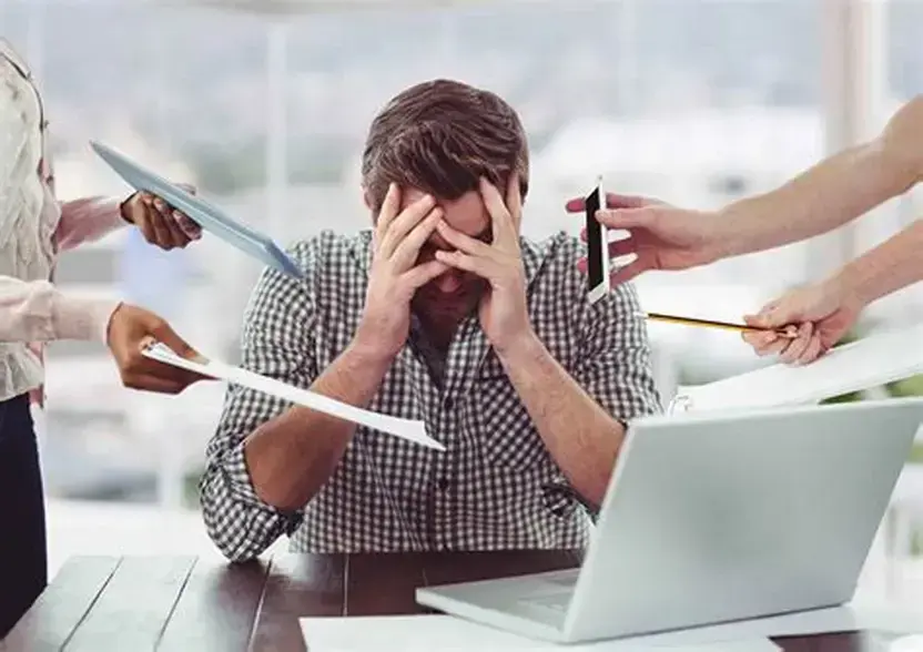 Quy Tỳ Thang: Kiện Tỳ Dưỡng Tâm, Cải Thiện Ăn Ngủ, Trí Nhớ Hiệu Quả